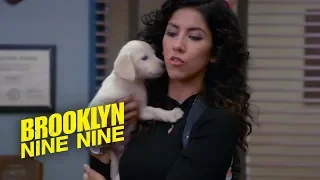 Rosa s Dog Arlo Brooklyn Nine-Nine