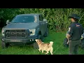 RiFF RAFF - HUSKY RiFF RAFF
