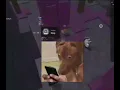 2026BESTCONDO GAME JOIN OR DISCORD SERVER ON MY BIO