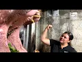 Hippo Tucker gets some Dental Work - Cincinnati Zoo