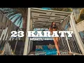 Download Lagu MIKAYLA - 23 karaty (Monciu Remix)