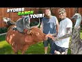 Owl Tattoo and Tour at Ryders Ranch
