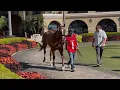 Goodies Looks to Keep the Momentum Rolling at Del Mar