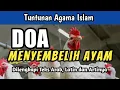 Lagu Doa Menyembelih Ayam (Jantan dan Betina) Menurut Islam, Lengkap Arab Latin dan Artinya