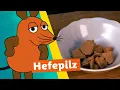 Download Lagu Wie wird Hefe hergestellt? | Die Maus | WDR