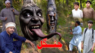 jangal Funny Video by Swat kpk vines