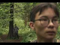Dial F for Forest