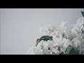 Chopin Spring Waltz 1 hours