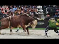 PBR Unleash the Beast Indianapolis 2023 Week 9 Recap