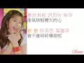 TWICE - Turtle (거북이)《中韓字幕》