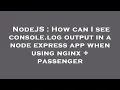 NodeJS How can I see console log output in a node express app when using nginx passenger