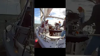 #shorts #sailing #texas #racing #water #fun #wind #sports #waves