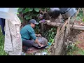 Download Lagu WADUUUH BEKAS MASAK BASRENG SAMPAI NUMPUK BEGINI 