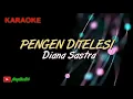 Download Lagu PENGEN DITELESI || Diana Sastra || Karaoke Lirik