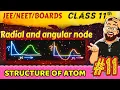 L-11 Radial Node Angular Node Structure of Atom Class 11