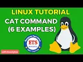 Cat Command in Linux 6 Examples Elango Notes