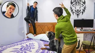 سيبت اشرس كلب في العالم علي اخويا فجأة الكلب ساب مني 