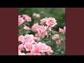 Download Lagu Dari Teman Jadi Cinta
