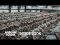 U S Army Airborne School - In Depth Look