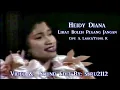 Download Lagu Heydiy diana-pandang boleh pegang jangan