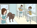 Paradise4Paws Chicago Spa And Grooming For Pets