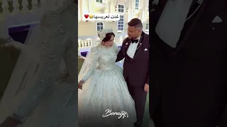 سجل ياتاريخ تامر حسني العروسة بتغني لعريسها 