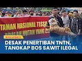 Download Lagu Ratusan Warga Desak Penertiban TNTN : Tangkap Bos Sawit Ilegal!