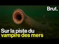 Download Lagu Trop moche pour être sauvée ?