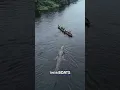 90-Foot Crocodile Terrorizes Riverboats in the Congo