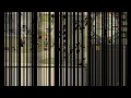Runescape Ddoser fully working 2011!