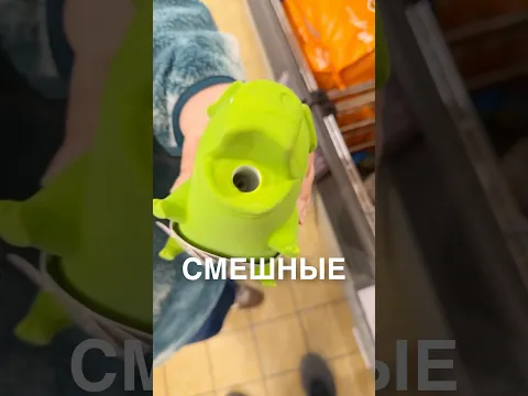 Свинки-пищалки 😂 #истории #история #новости #новость #shorts