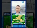 Cape Coral saw the most rain during Sunday s Gulf Coast Weather Impact Day storms