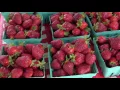 Farmer s Market on Front Street