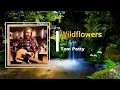 Tom Petty - Wildflowers (Lyrics)