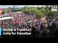 Download Lagu Massale protesten in Venetië en Frankfurt eisen Palestijnse vrijheid | DRM Nieuws | AC1F