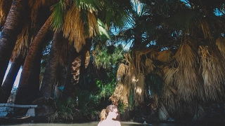 Amazing Desert Oasis Hot Spring – Pushing North 01