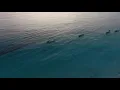 Song by Deep Sleep Music Collective, Music For Sleeping, and Relaxing Music Experience