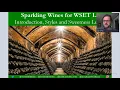 Understanding Sparkling Wine for WSET L3 Part 1 - Introduction, Styles and Sweetness Levels