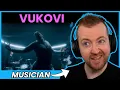 Download Lagu VUKOVI Lasso reaction by Musician
