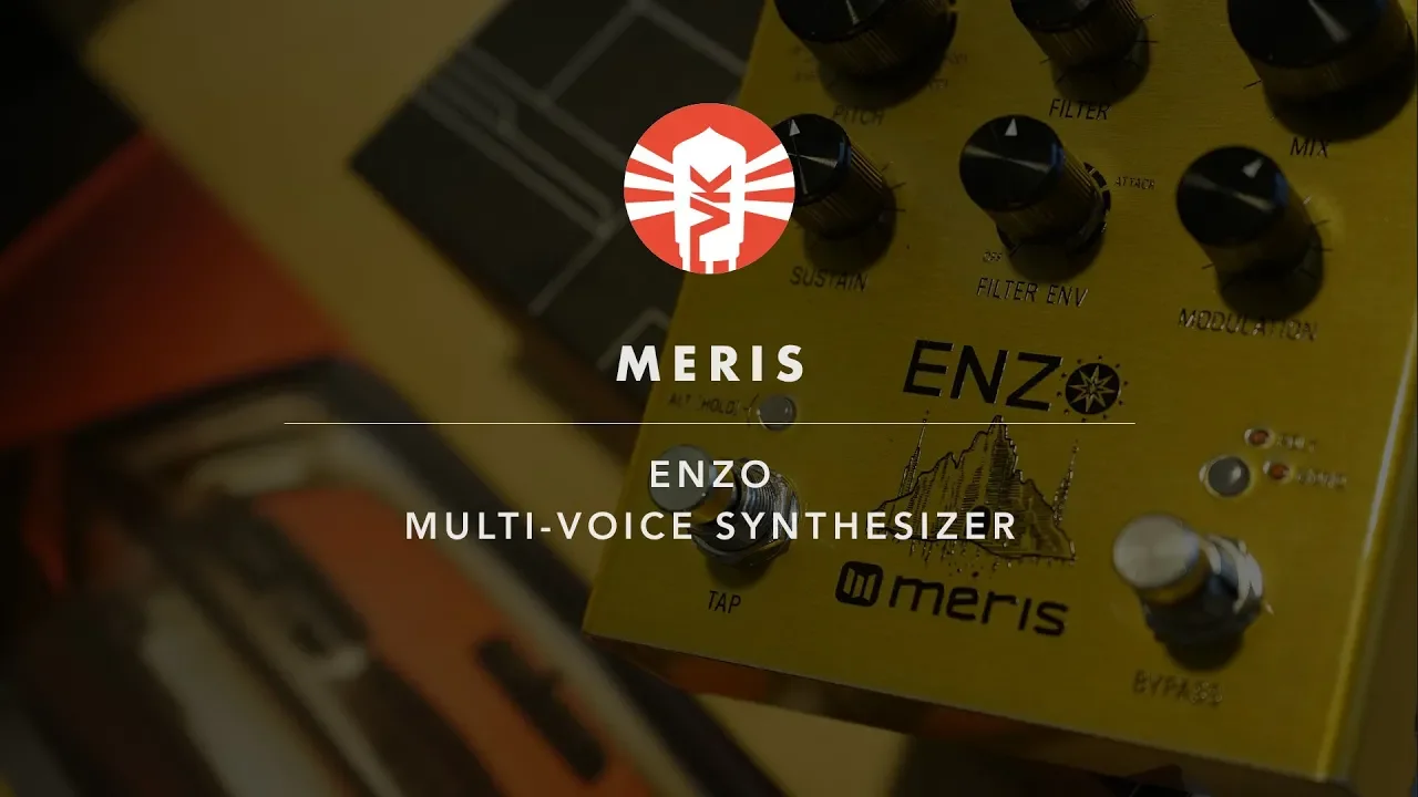 Meris Enzo - Meris Synthesizer Pedal - Meris Enzo Pedal - Vintage King
