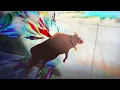 Download Lagu Fly, My Cow [Limbus Company]