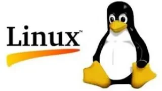 Shell Scripting Tutorial Run Checks On Strings