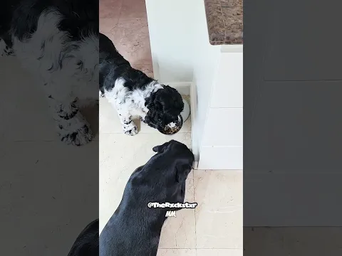 You Gonna Eat All That?!?