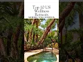 10 Best Health And Wellness Resorts In The United States Wellness retreats Girls spa weekend USA