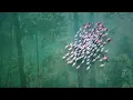 432 Hz | Reiki Music For Healing At All Levels | Emotional, Physical, Mental & Spiritual Healing