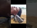 Ikan lele #meme #fypシ゚