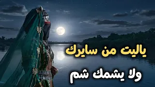 ياليت من سايرك ولا يشمك شم    غناء ذكاء صناعي    جديد وحصري          ذكاء صناعي دندنها