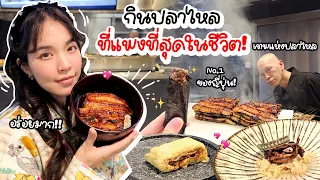 พากินปลาไหลที่แพงที่สุดในชีวิต ! | Buablink