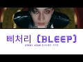 Download Lagu Stray Kids (스트레이 키즈) '삐처리 (Bleep)' Color Coded Lyrics (Spoiler)