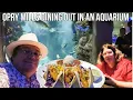 Opry Mills Dining In An Aquarium Exploring Around The Mall Shopping Nashville Tennessee